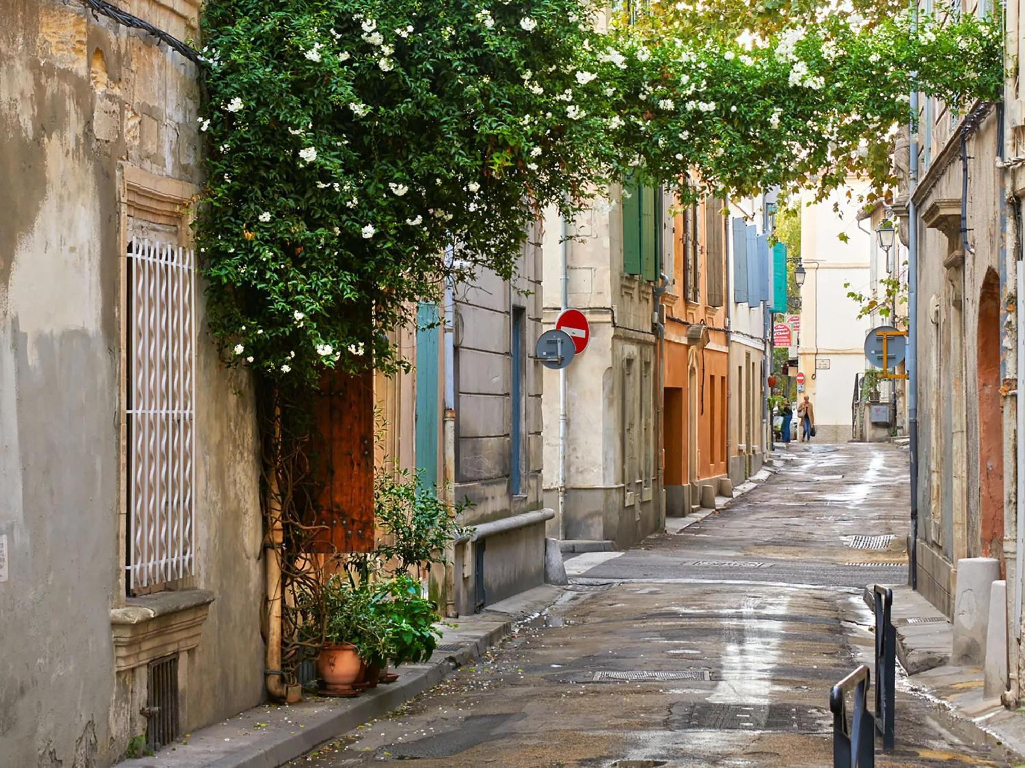 Hebergements Modernes & Cosy A Arles T3 Et T2 Elegants 외부 사진